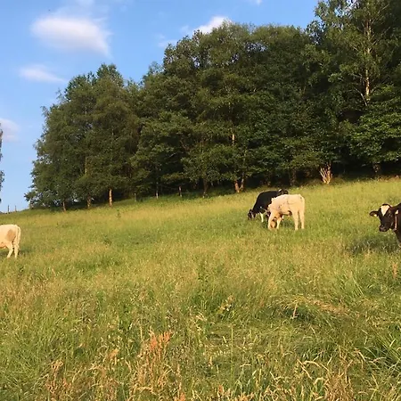 ゲストハウス Zum Rothaarsteig 3*