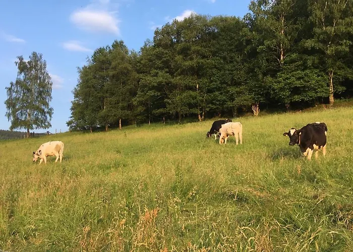 Vendégház Zum Rothaarsteig 3*