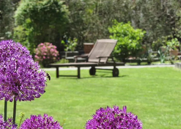 Zum Rothaarsteig Guest house Netphen