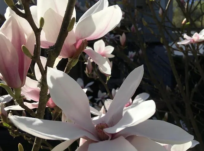 Zum Rothaarsteig ゲストハウス 3*